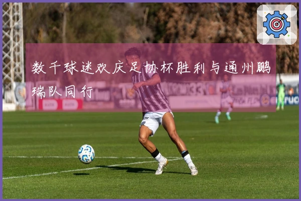 数千球迷欢庆足协杯胜利与通州鹏瑞队同行